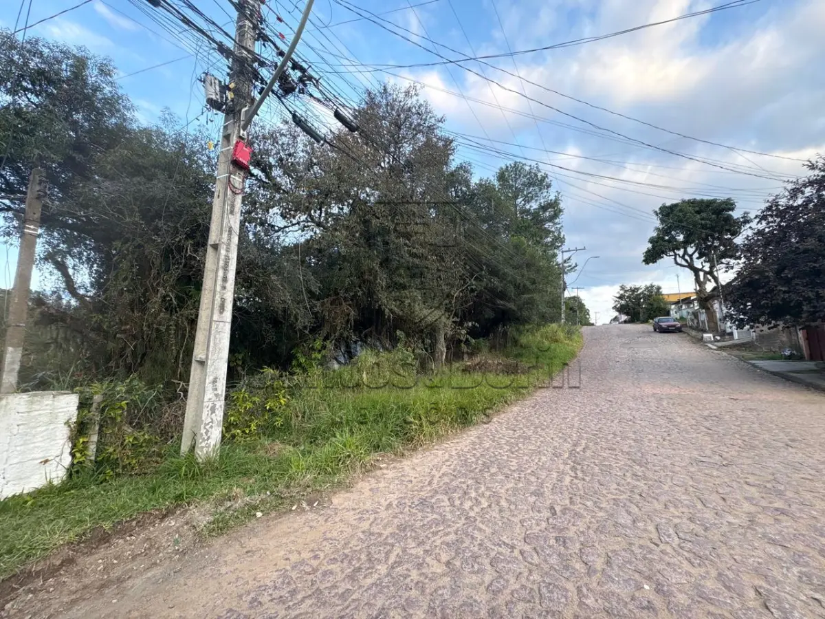 LOTE 006 - TERRENO NA TELMO GODOY PINTO