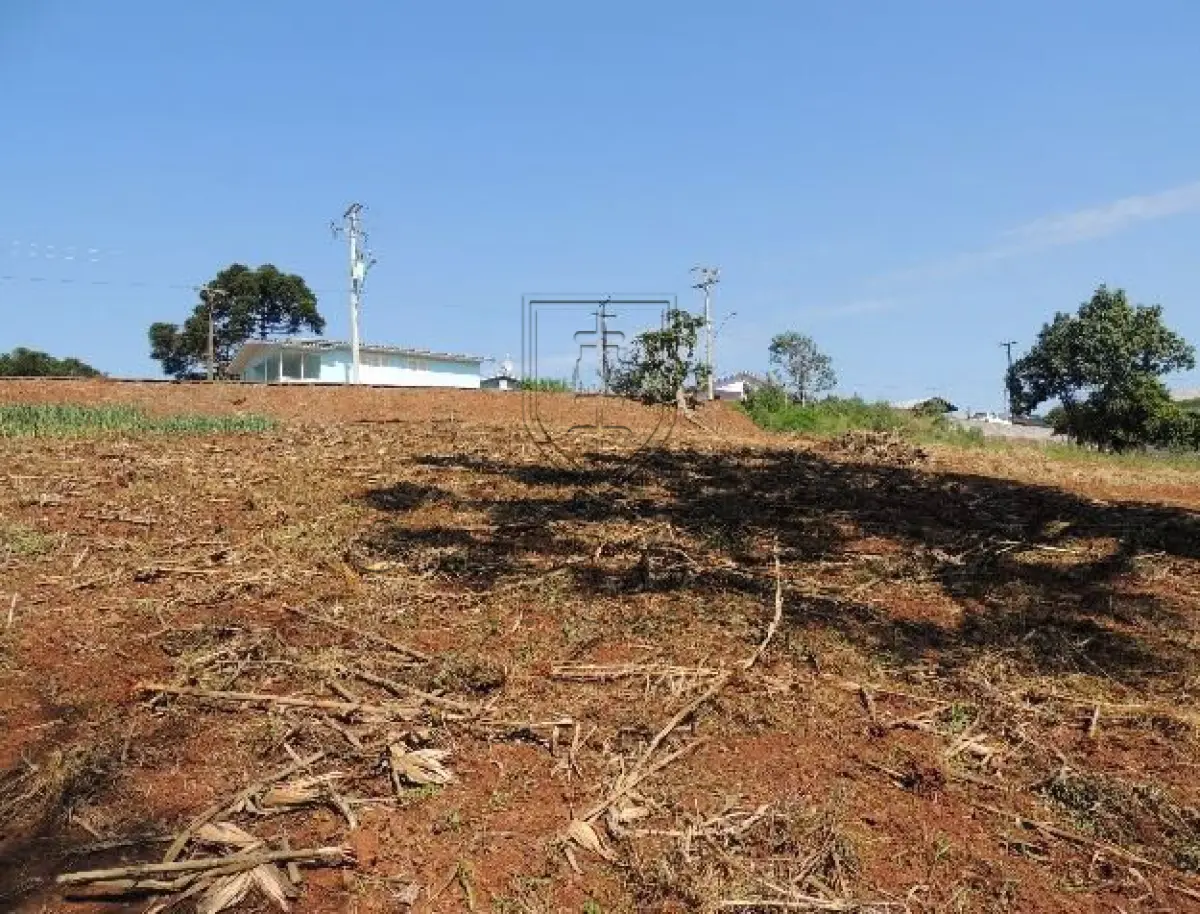 LOTE 003 - MATRICULA Nº 23.653