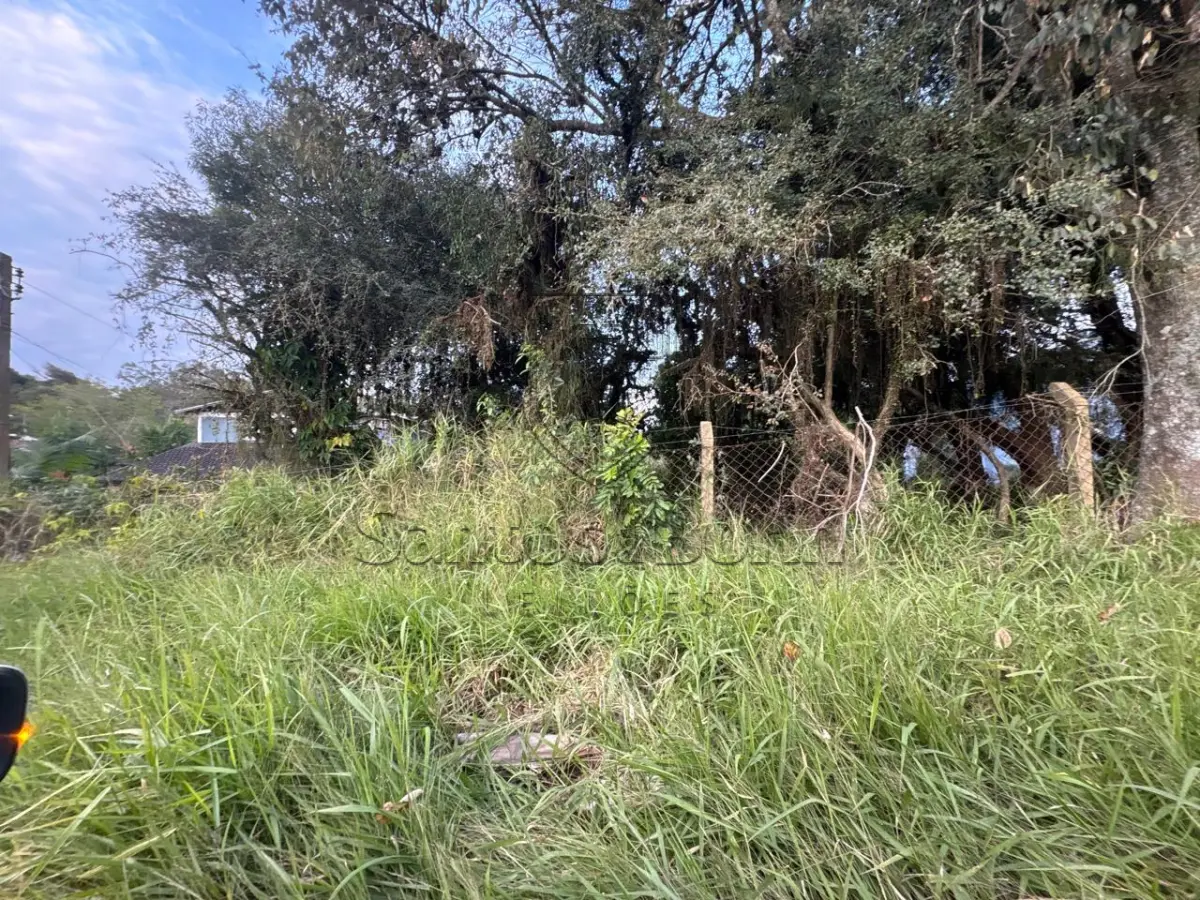 LOTE 006 - TERRENO NA TELMO GODOY PINTO