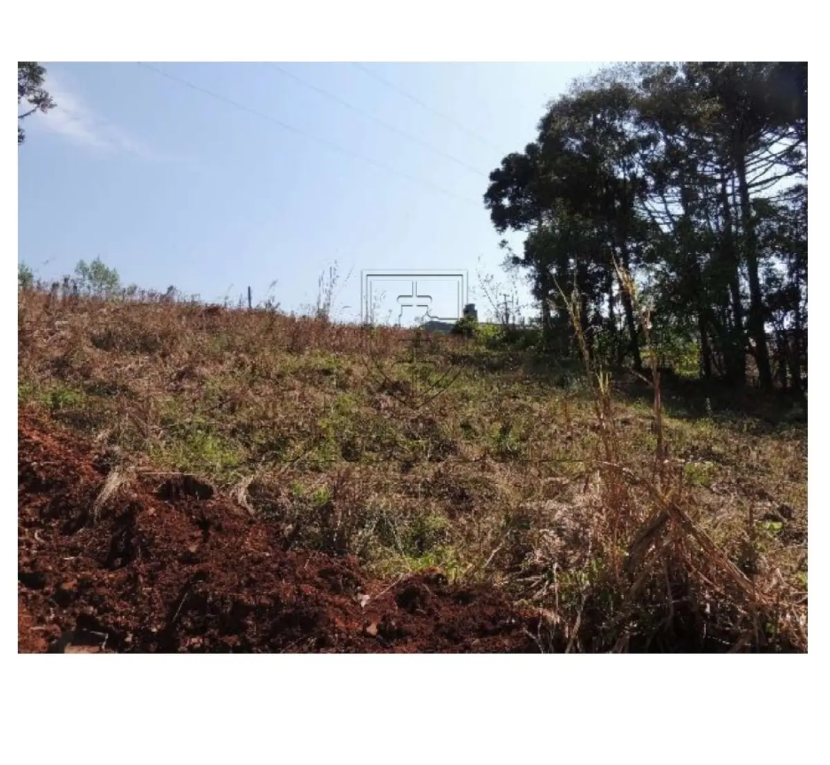 LOTE 001 - MATRÍCULA Nº 23.629