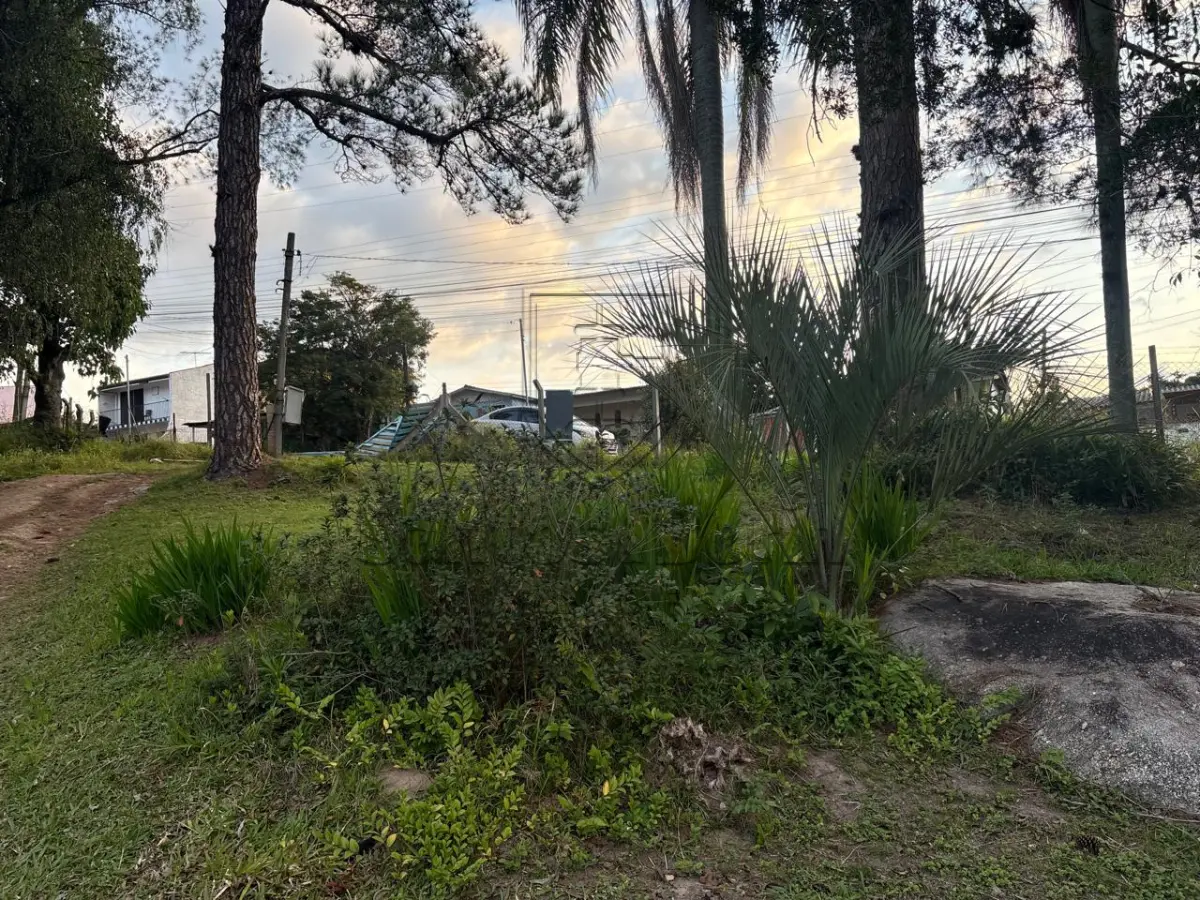 LOTE 006 - TERRENO NA TELMO GODOY PINTO