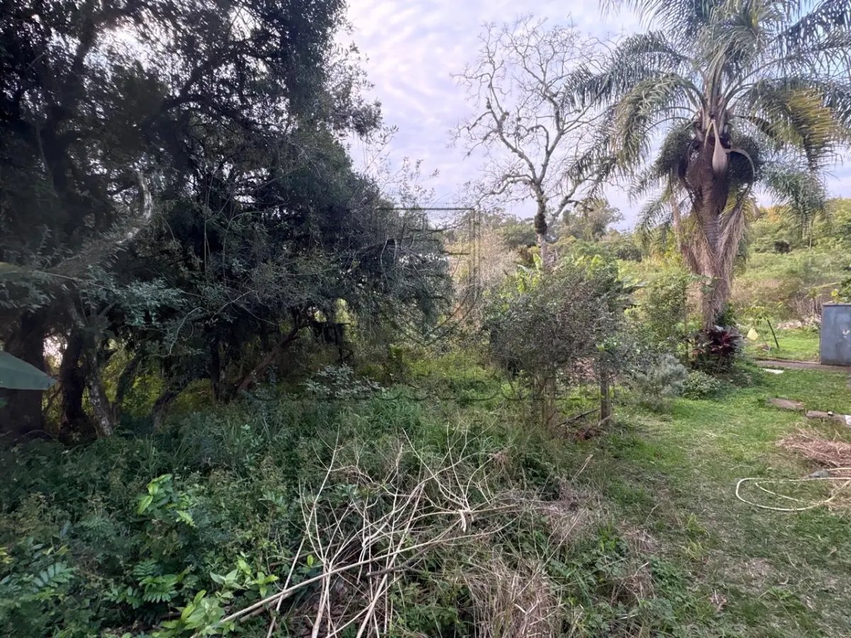 LOTE 006 - TERRENO NA TELMO GODOY PINTO