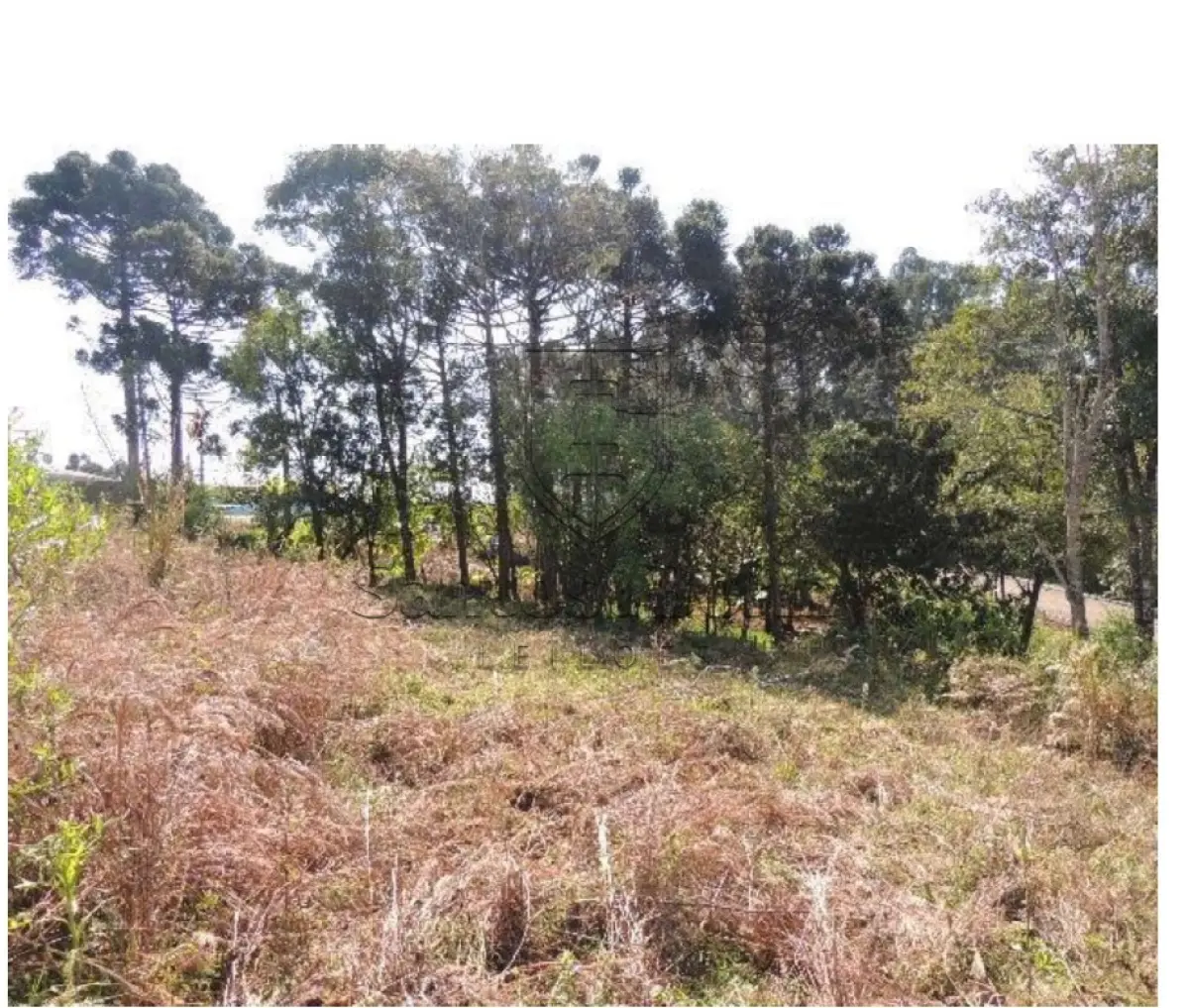 LOTE 002 - MATRICULA Nº 23.630