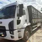 FORD/CARGO 2431 L